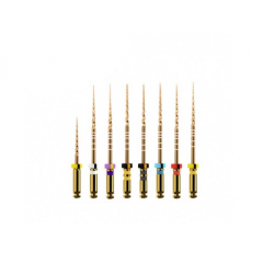 LIMAS PROTAPER GOLD