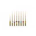 LIMAS PROTAPER GOLD