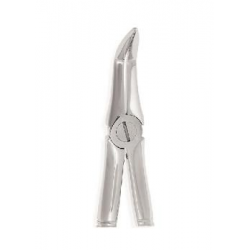 FORCEPS Nº145 RAÍCES INFERIORES
