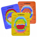 PUZZLE BOCA