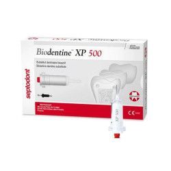 BIODENTINE XP 500
