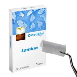 LÁMINA MEMBRANA CORTICAL
