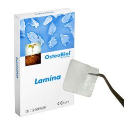 LAMINA RÍGIDA